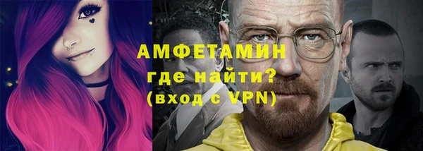 индика Горняк
