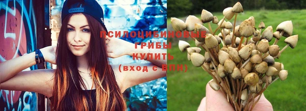 spice Волоколамск