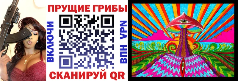Купить  Грайворон  Галлюциногенные грибы Psilocybe 